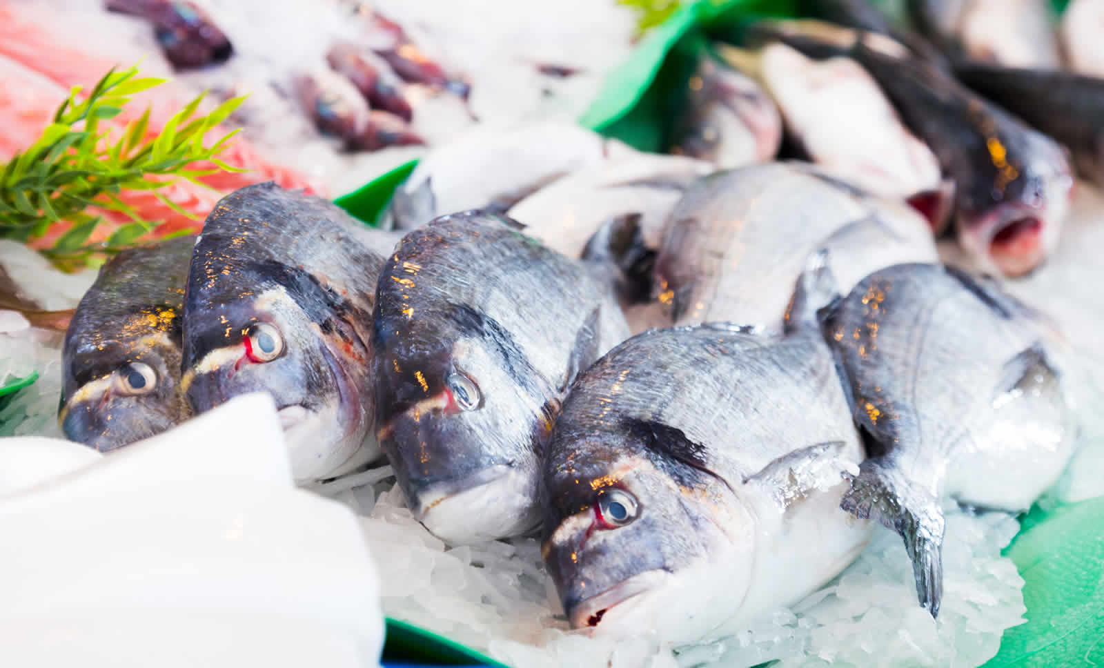 Рыба дорадо на рынке. Рыбный рынок дорадо. Рыба дорадо на рынке фото. Фото контр рыбы.